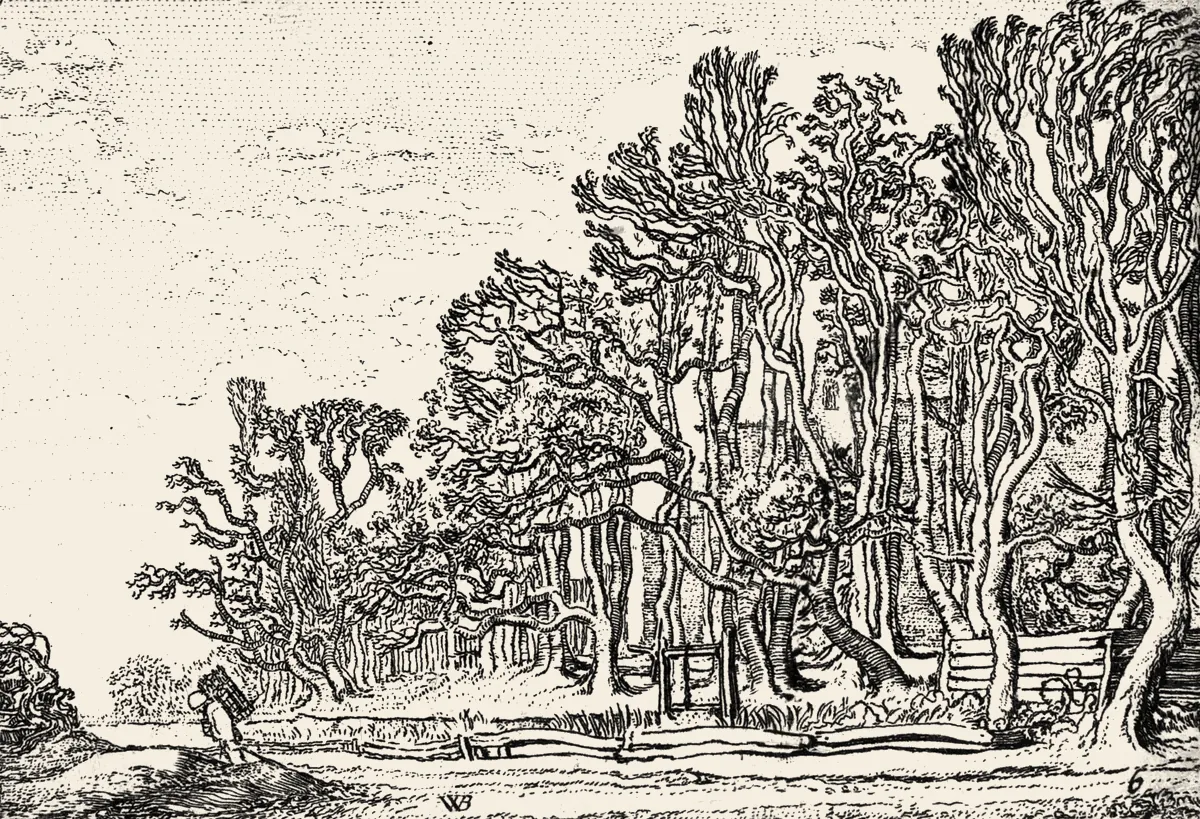An etching of a dense line of trees, with a small figure carrying a load walking a path beside it.